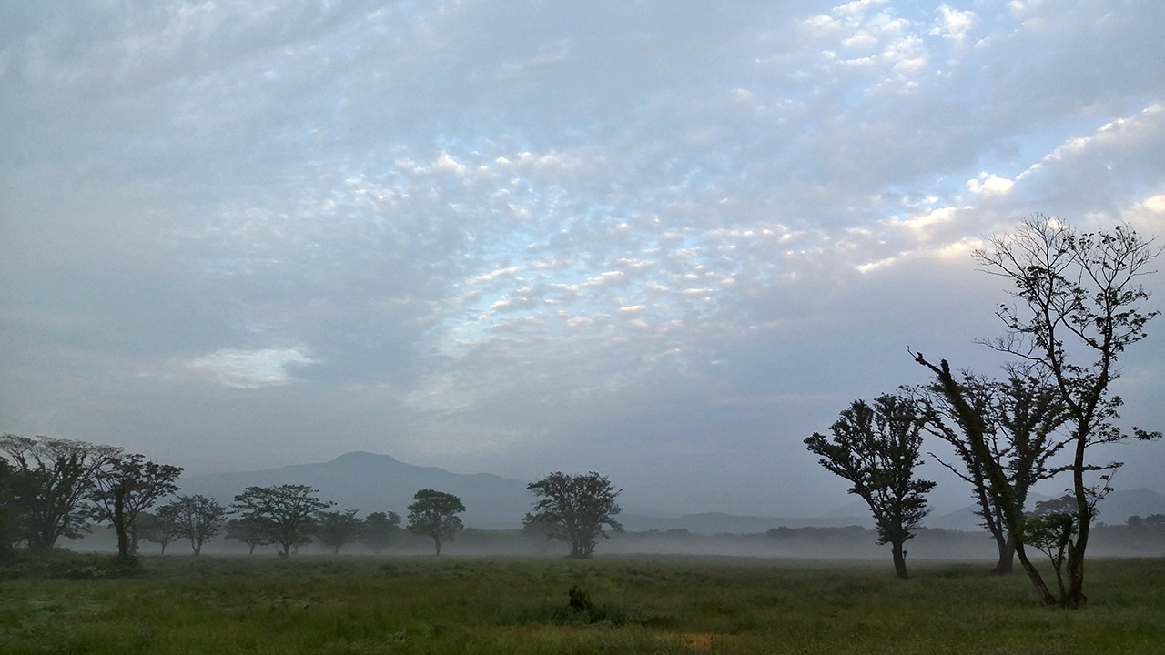 다운로드 (9).jpg