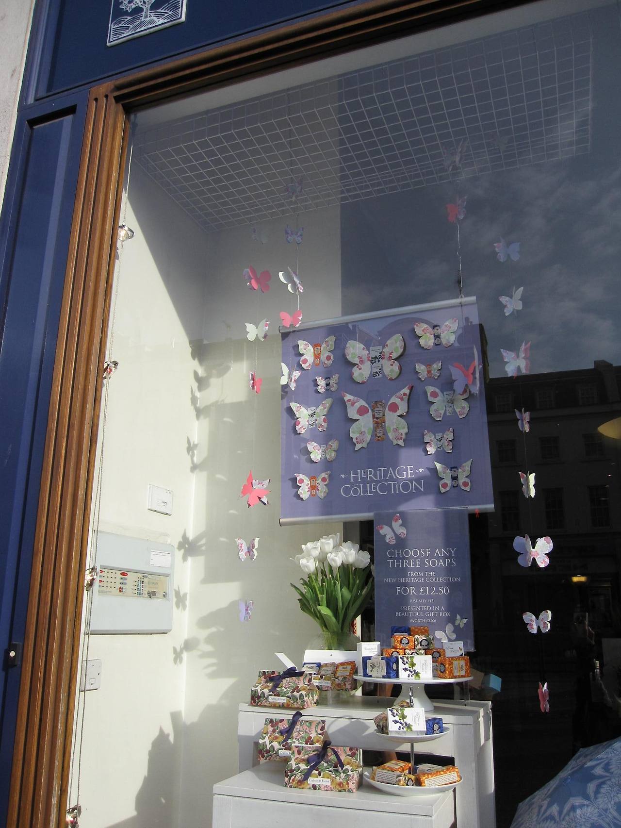 사진 389.jpg