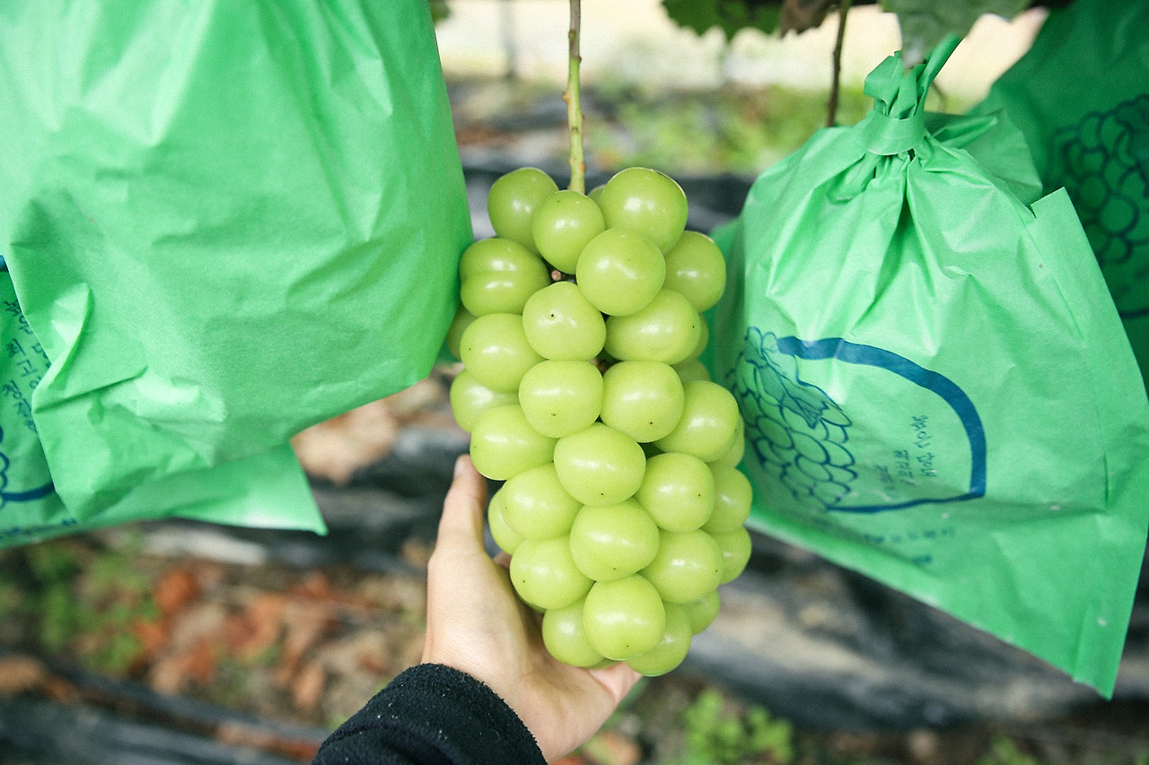 KakaoTalk_Photo_2022-05-16-13-22-50 011.jpg