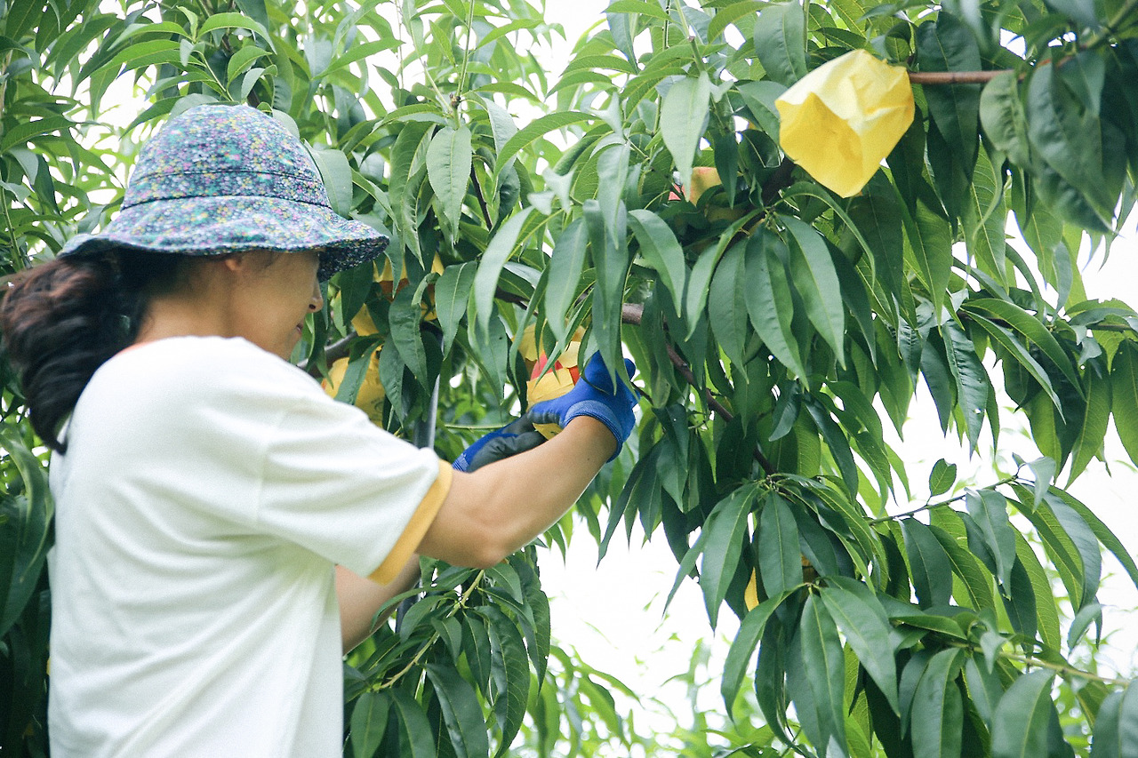 KakaoTalk_Photo_2022-05-16-13-22-50 010.jpg