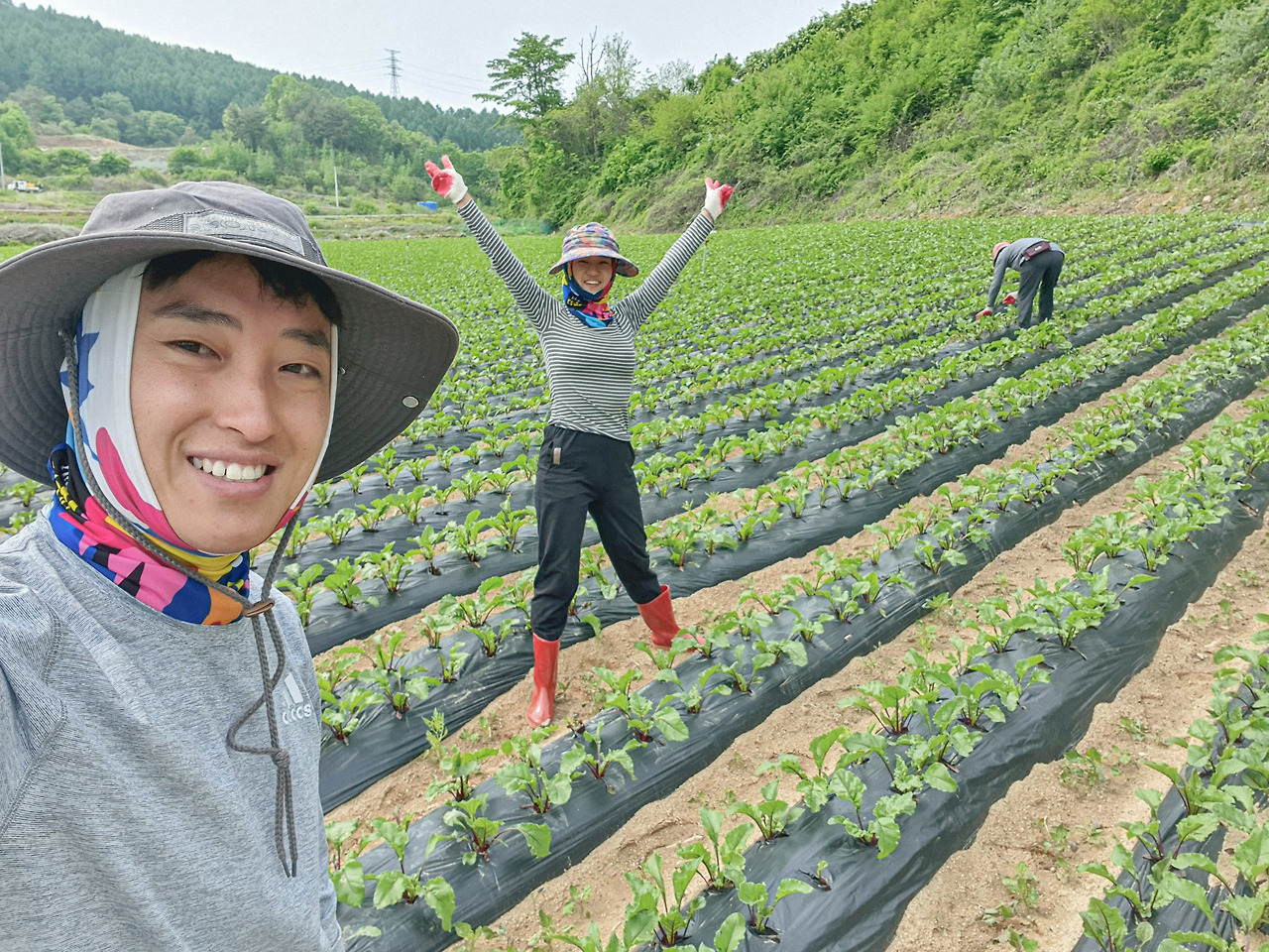 20200522_농사 잡초뽑기 태롱 엄마.jpg