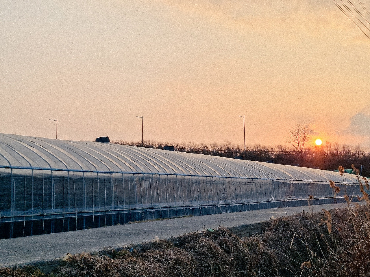 KakaoTalk_Photo_2022-02-26-11-38-42 005.jpg