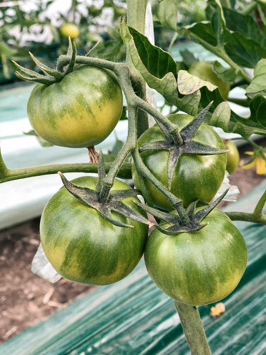 KakaoTalk_Photo_2022-02-26-11-38-41 002.jpg