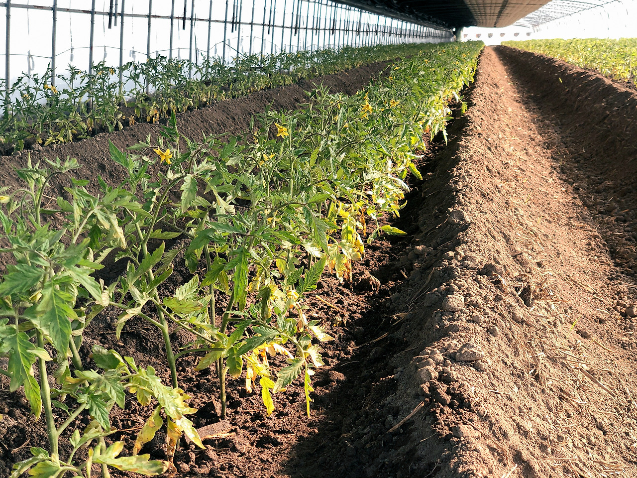 KakaoTalk_Photo_2022-02-26-11-38-20 014.jpg