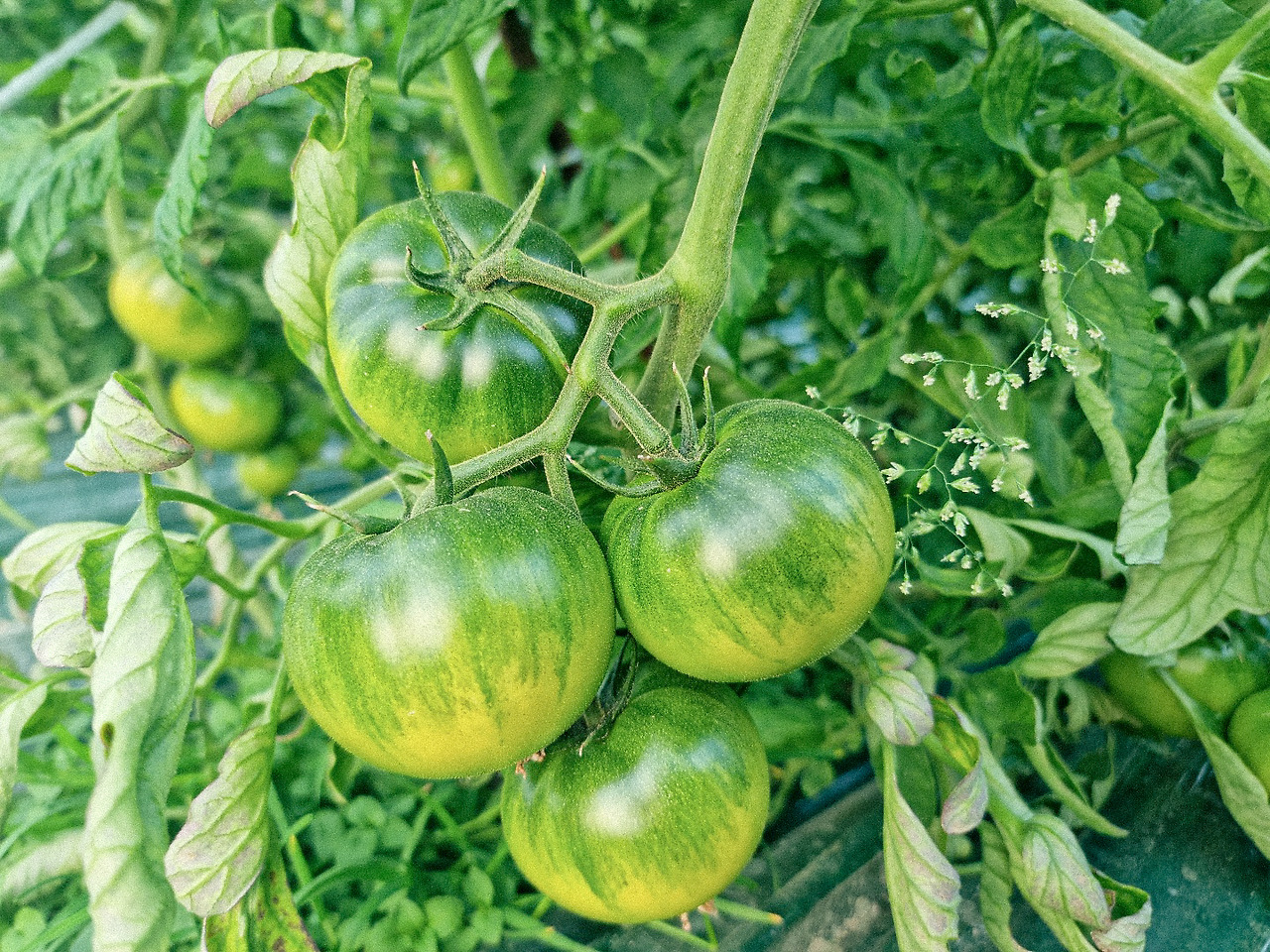 KakaoTalk_Photo_2022-02-26-11-38-42 006.jpg