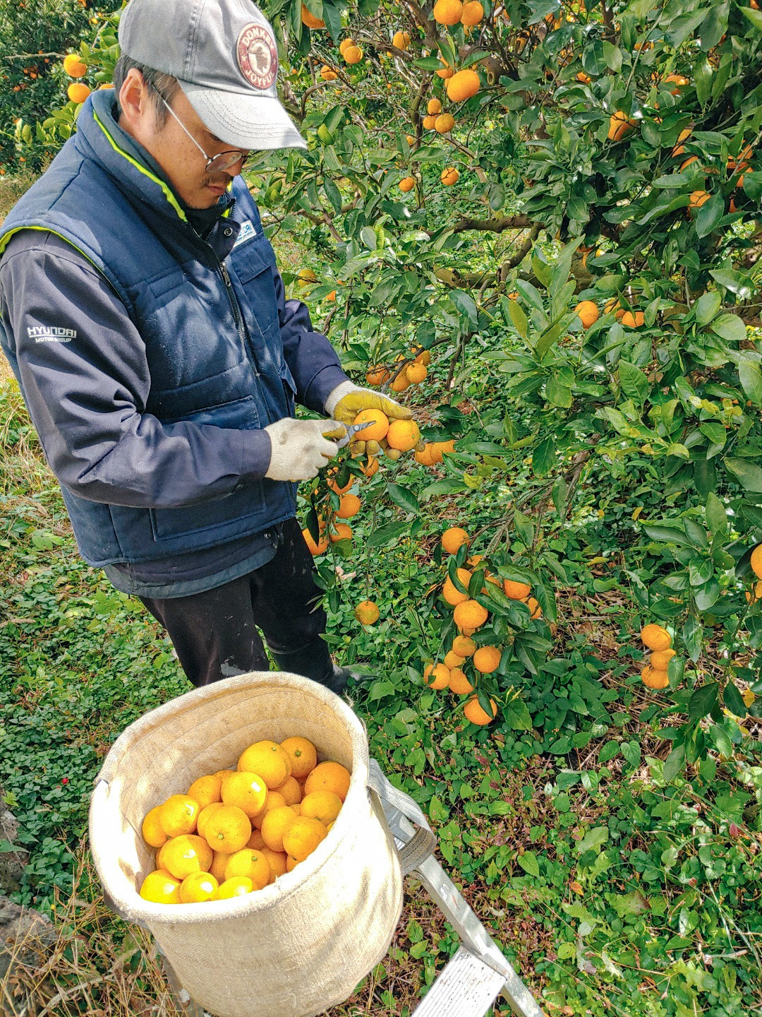 KakaoTalk_Photo_2021-11-24-11-04-55 002.jpg