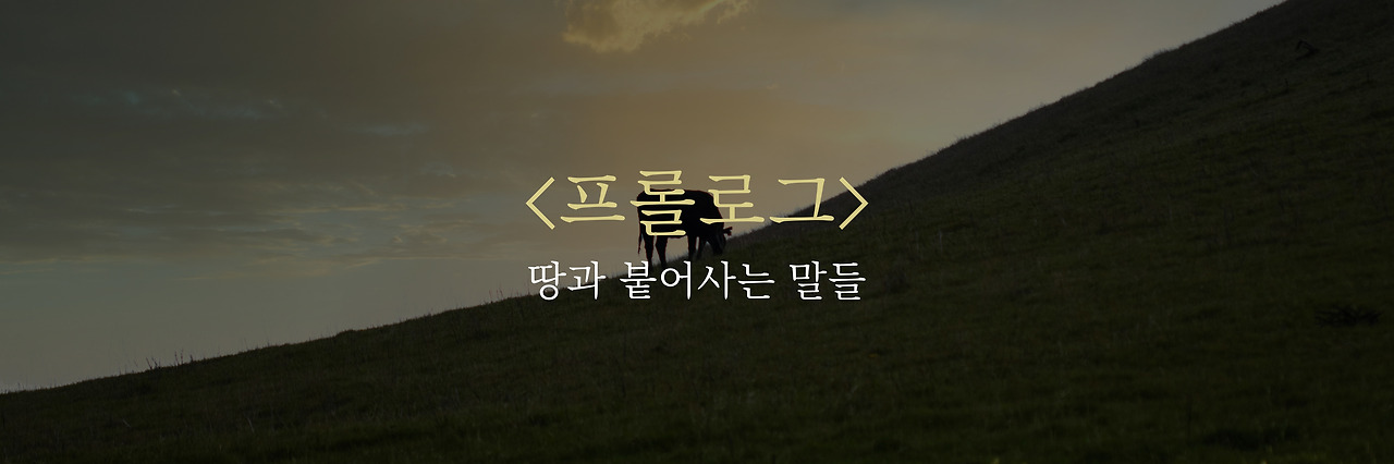 griffin-wooldridge-8_4tIMcCwo0-unsplash 복사.jpg