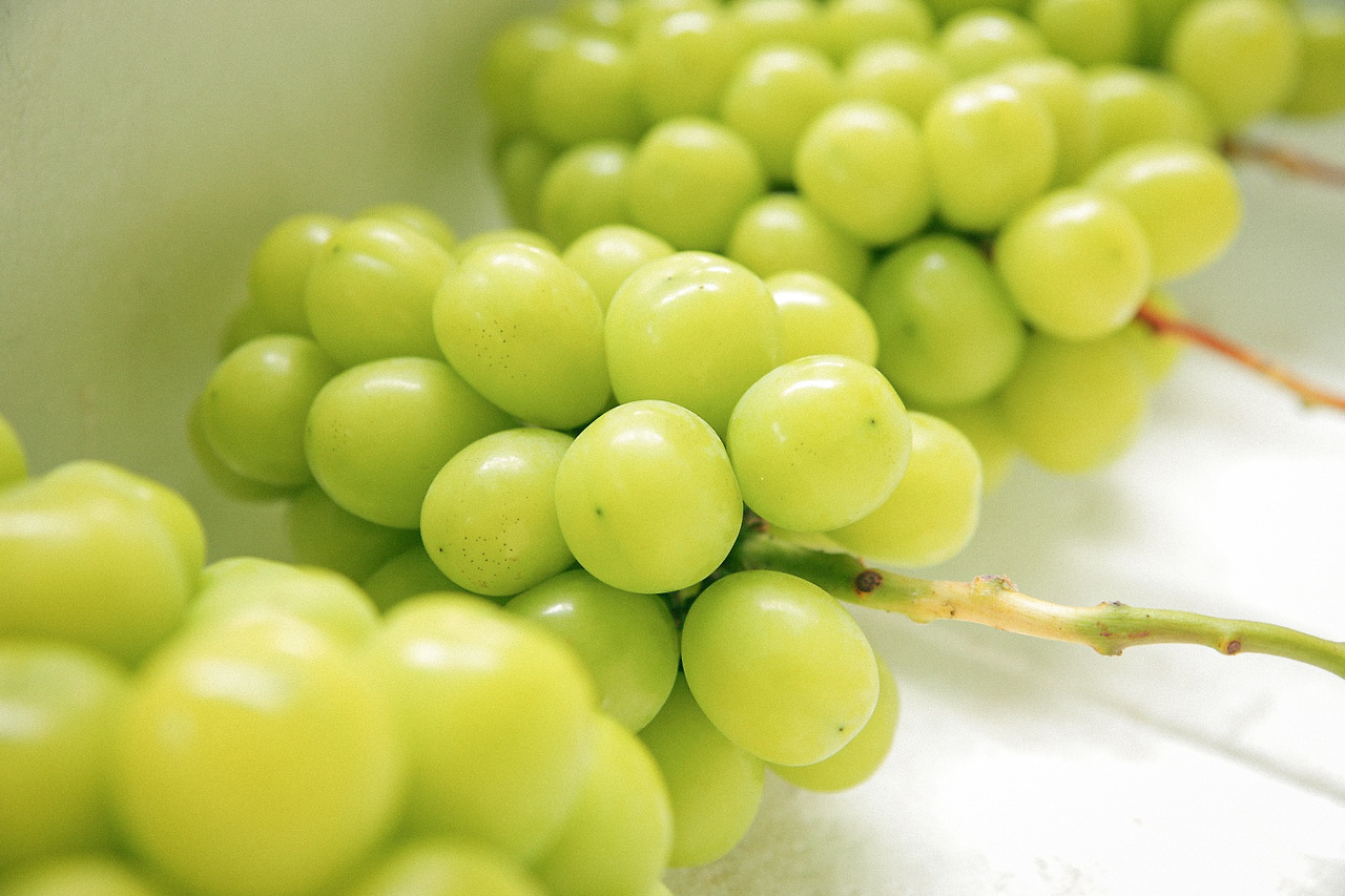 KakaoTalk_Photo_2022-05-16-13-22-51 013.jpg