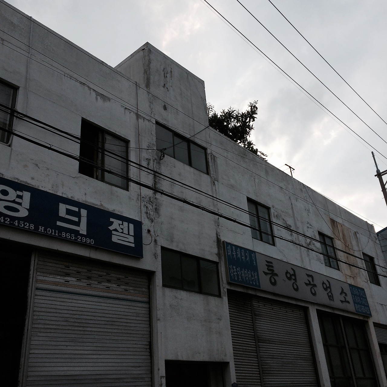 FullSizeRender 3.jpg