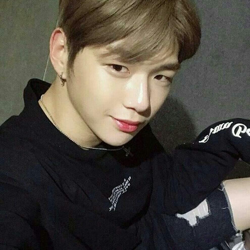 강다니엘.jpg