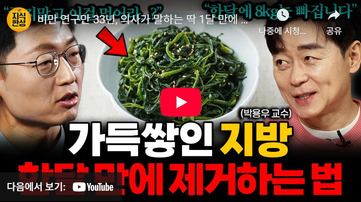 카지노 게임 추천