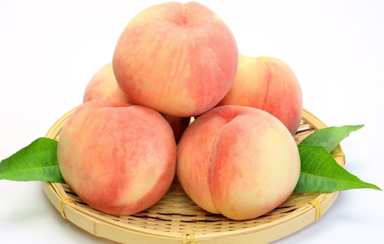 햇사레복숭아.jpg