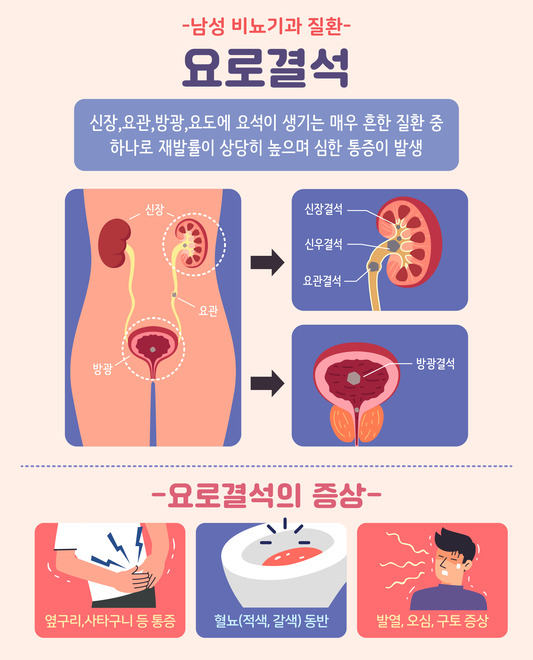 코인 카지노 사이트