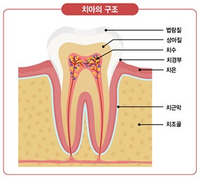 사설 카지노