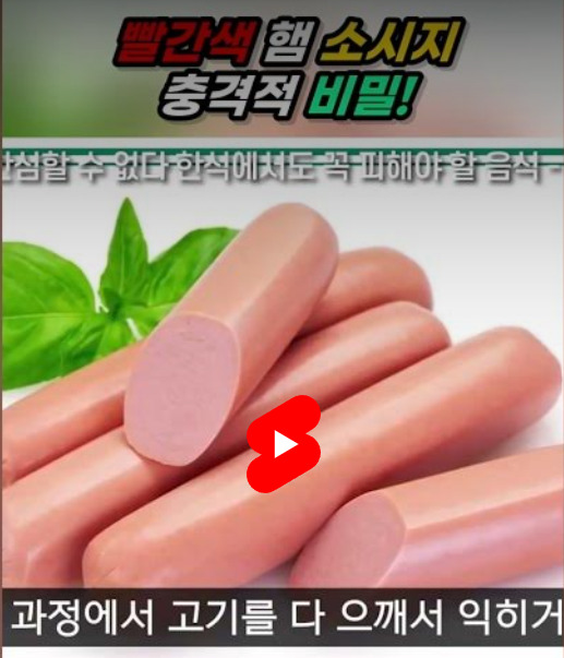 카지노 꽁