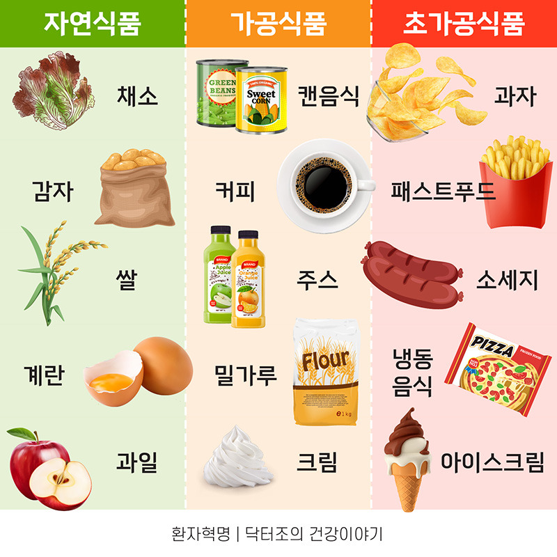 바카라 토토 사이트