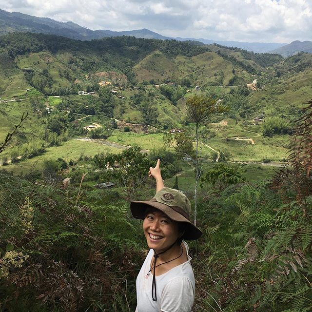 콜롬비아 산_.jpg