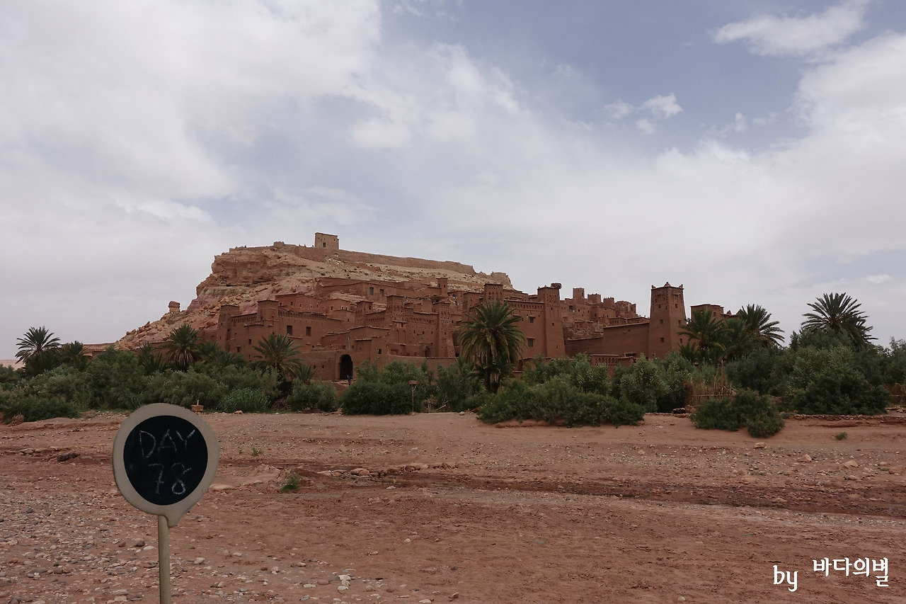 DSC07769 added001.jpg