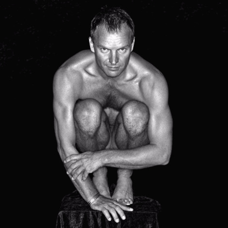 Celebrity-Yoga-Sting-Gordon-Sumner-English-Singer-Musician-2.jpg