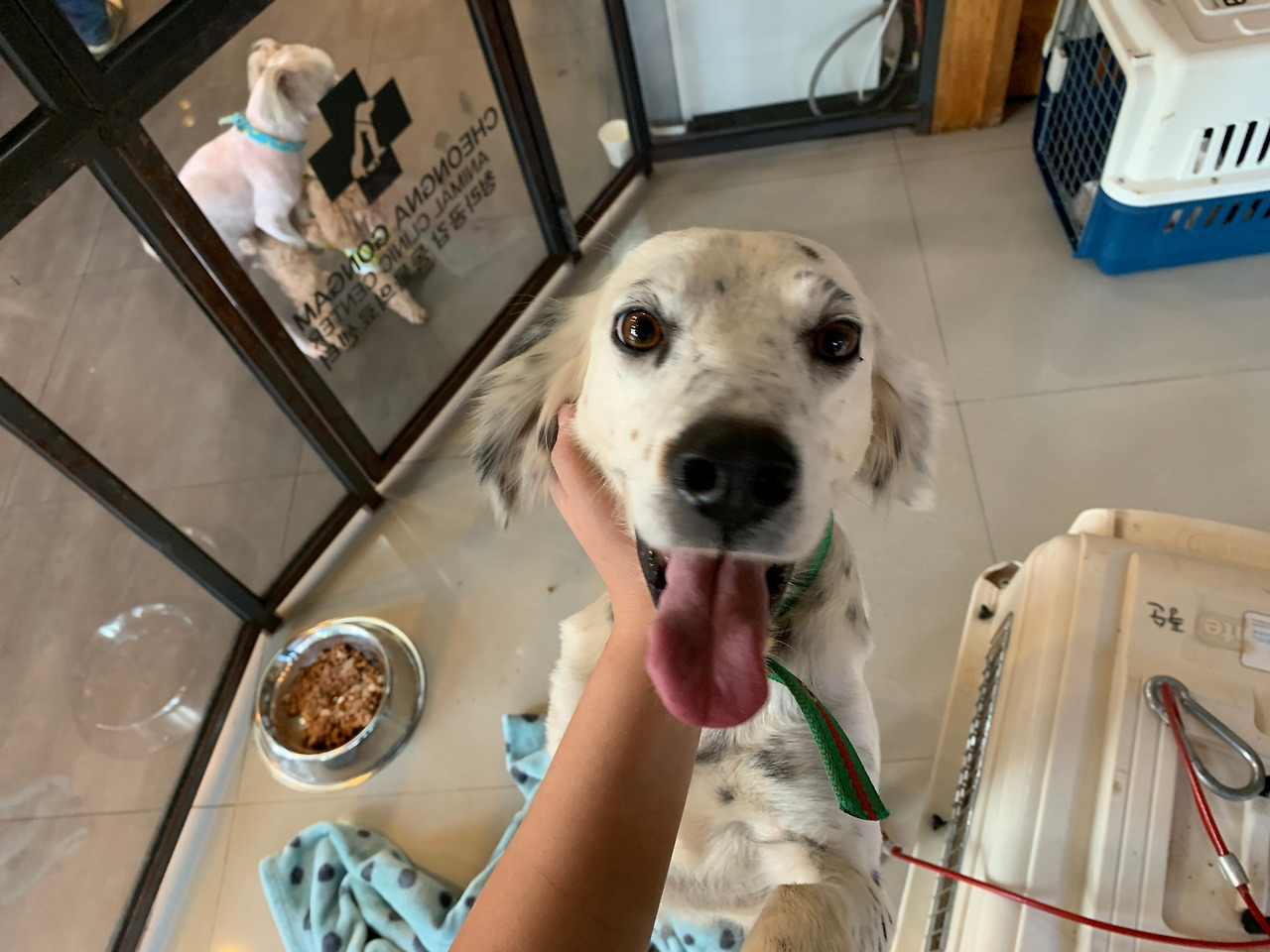 우리 리타 (6).jpg