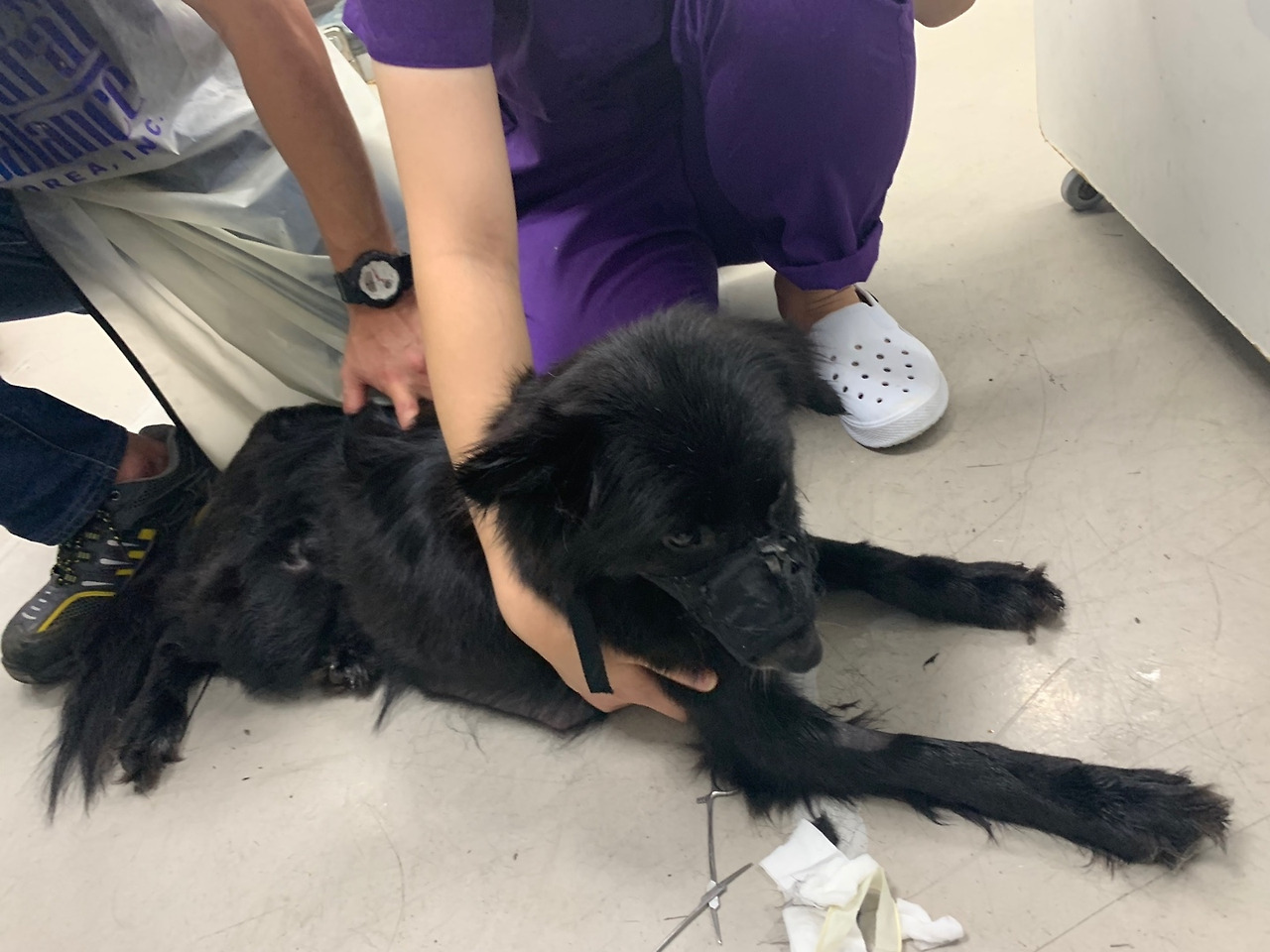 K3-2_인천대공원어미개구조_카라_20190607 (2).jpg