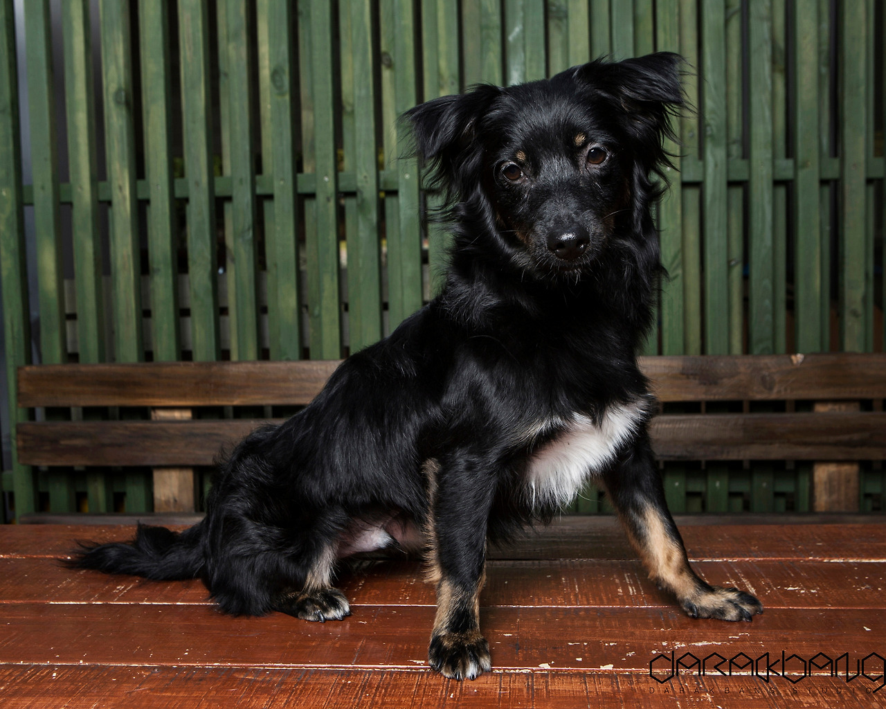 4. 아름품 시절 강이 (3).jpg