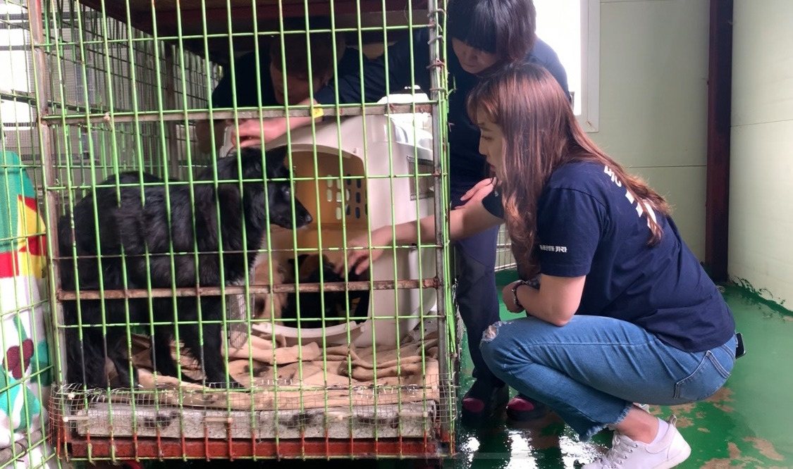 K3-2_인천대공원어미개구조_카라_20190607 (75).jpg