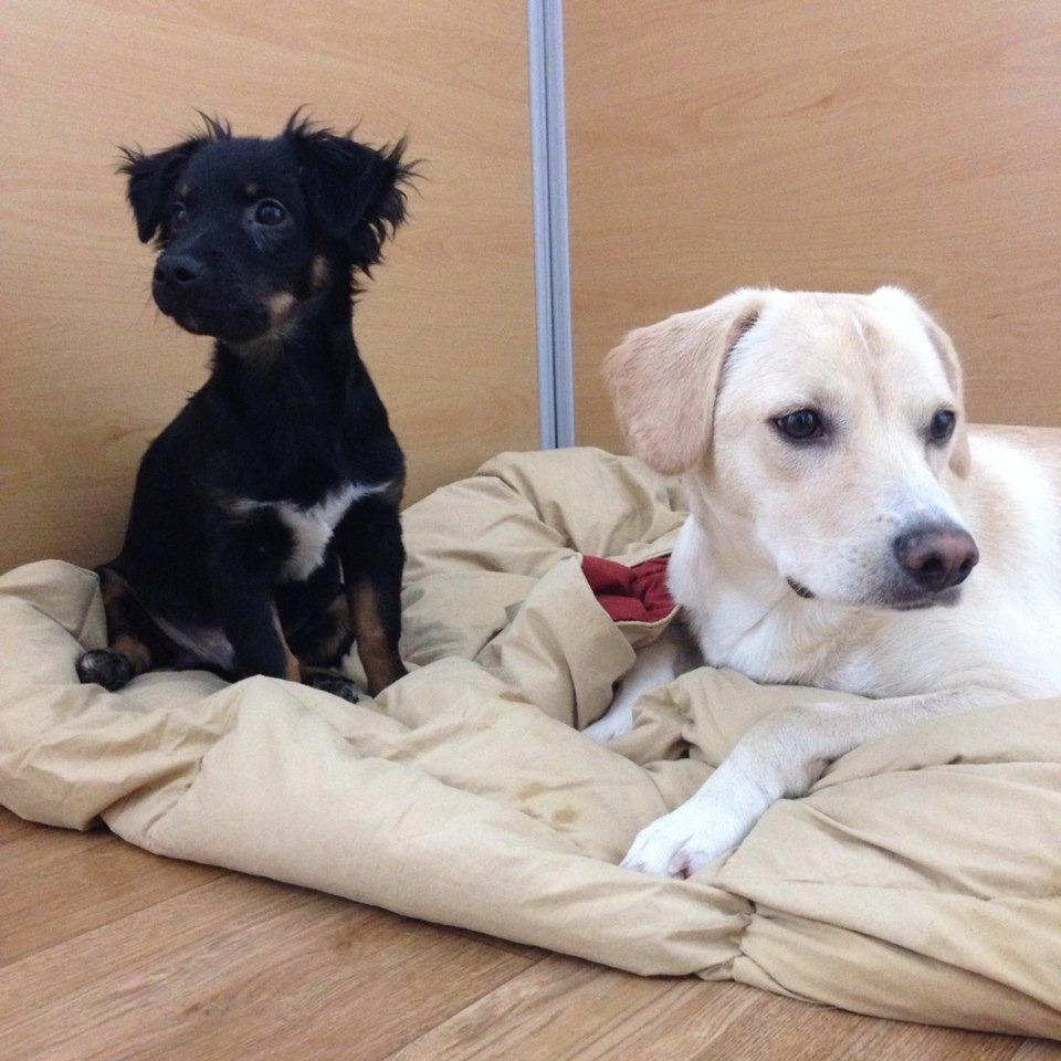 3. 아기 강이 (2).jpg