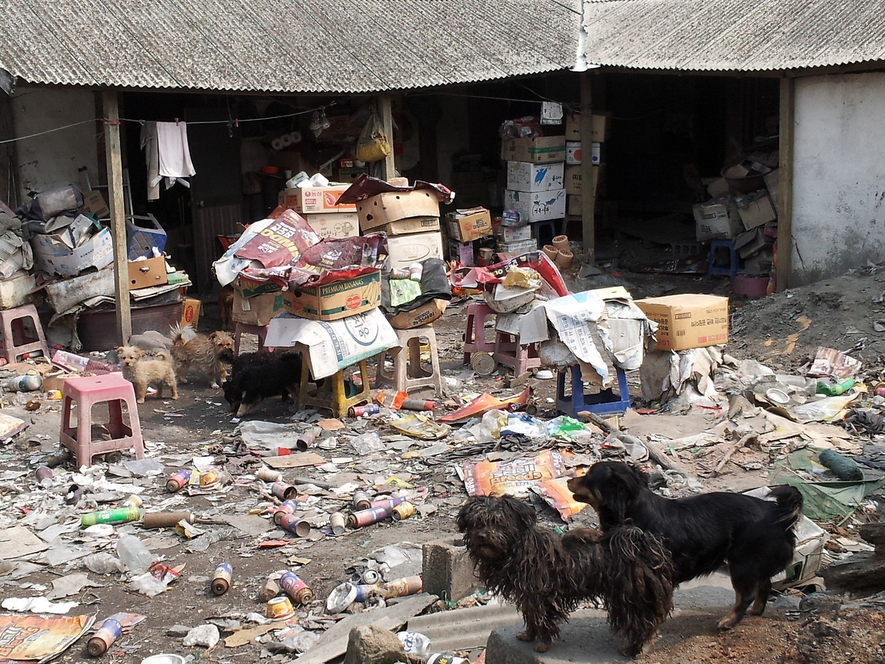 1. 여주 애니멀호딩 (2).jpg