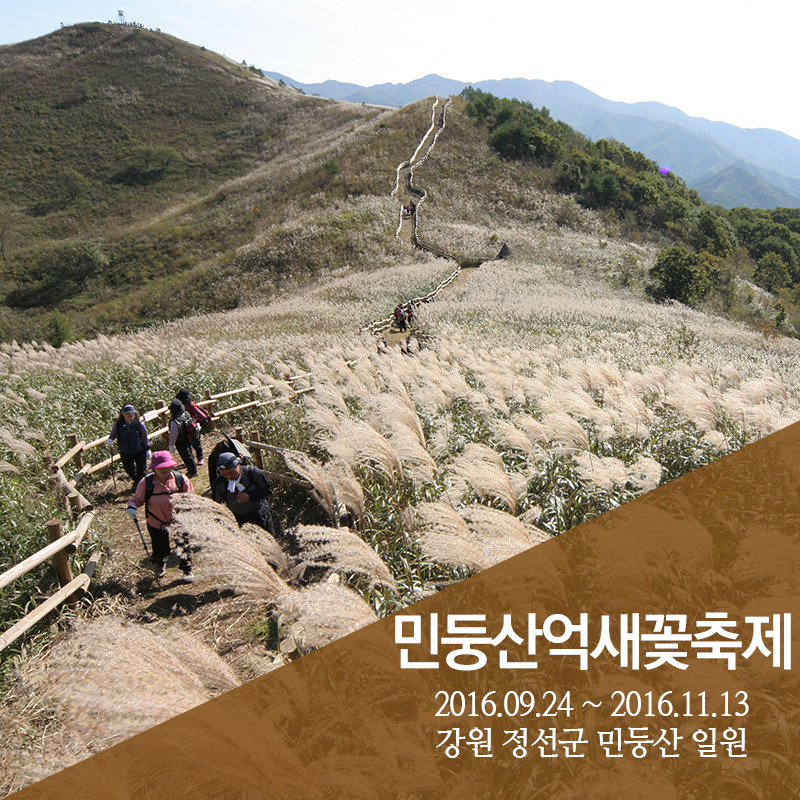 1025_11월 축제 (3).jpg