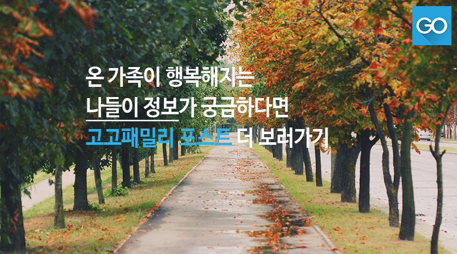 서울 빛초롱 축제 (12).jpg