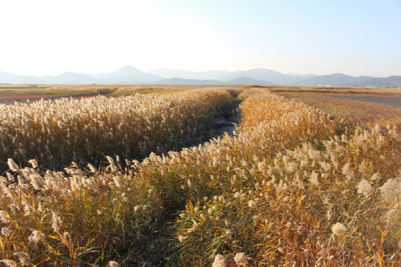 1025_11월 축제 (11).jpg