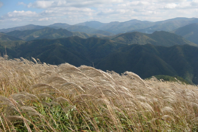 1025_11월 축제 (10).jpg
