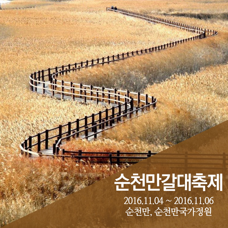 1025_11월 축제 (2).jpg