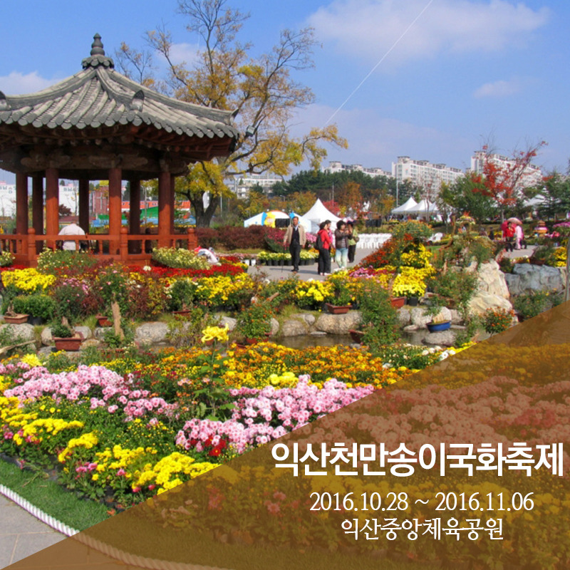 1025_11월 축제 (5).jpg