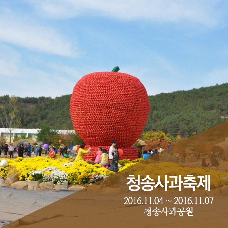 1025_11월 축제 (7).jpg