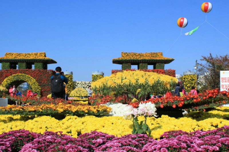 1025_11월 축제 (15).jpg