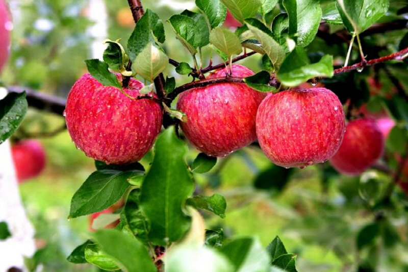 1025_11월 축제 (17).jpg