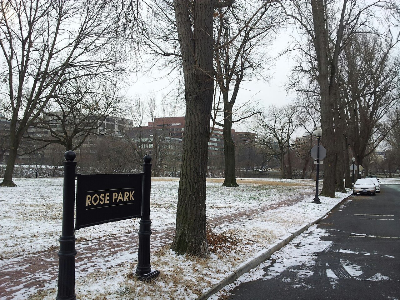 에피파니 로즈팍.jpg