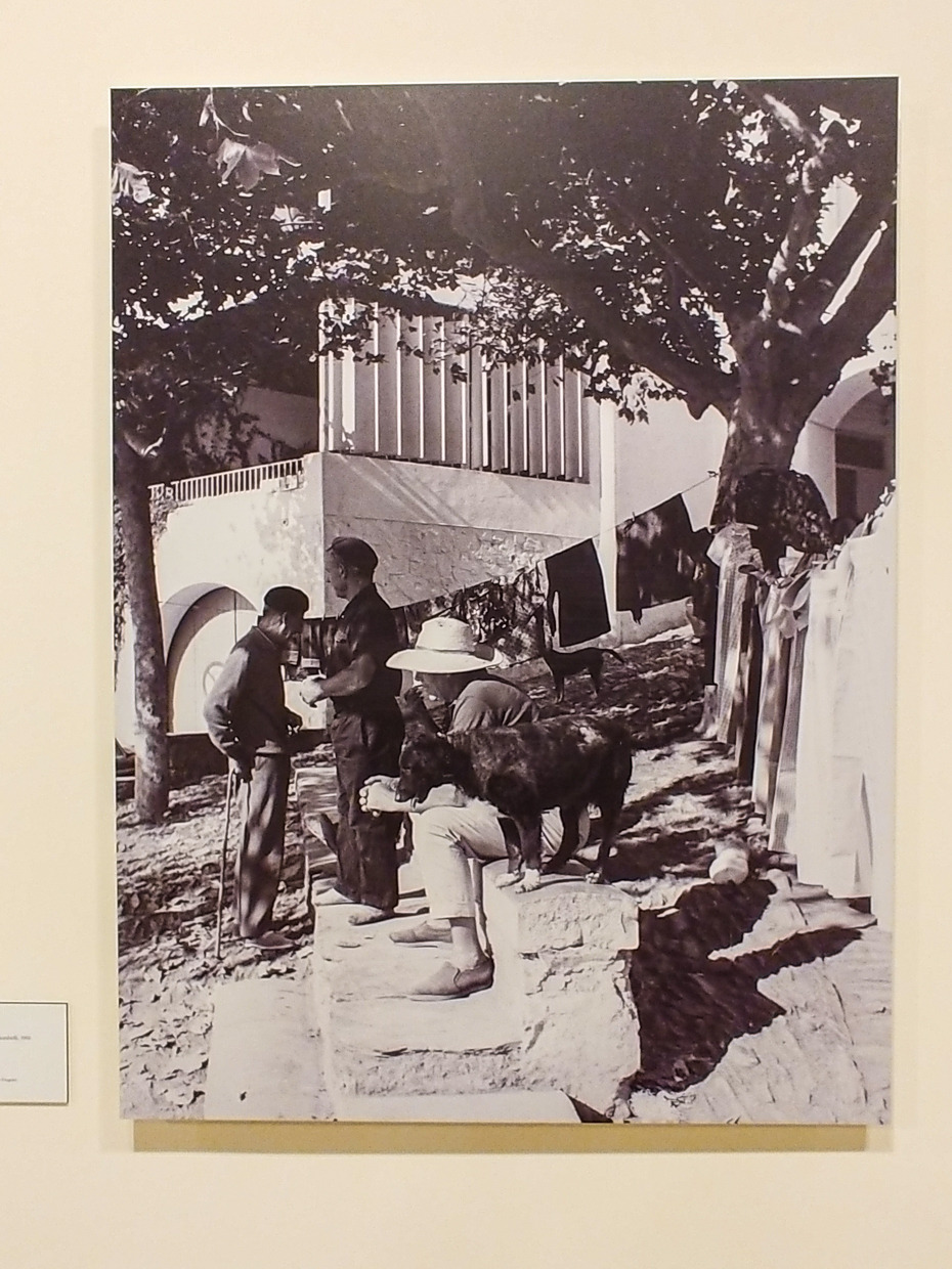 RYU Blog20191029_134848.jpg