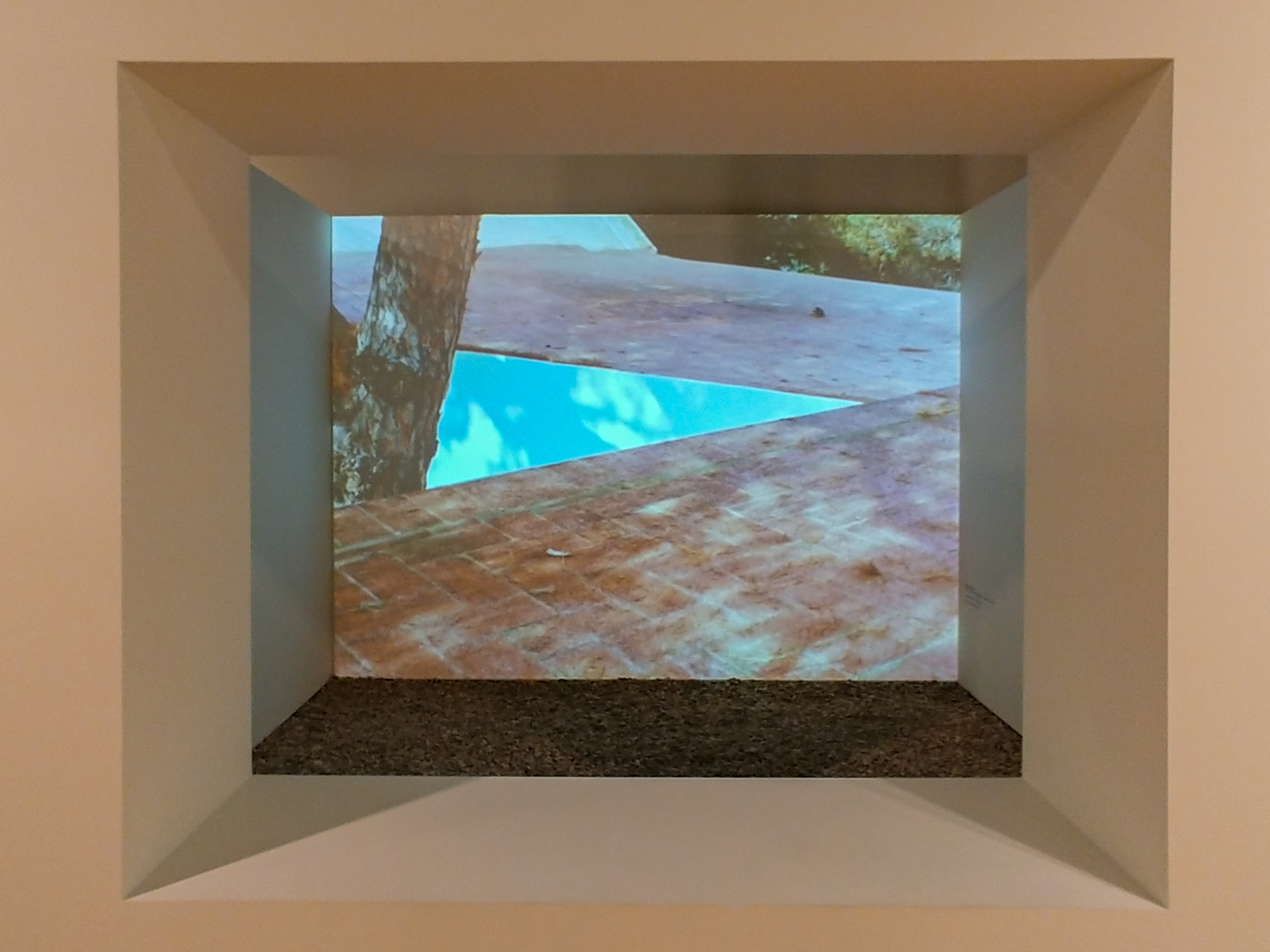 RYU Blog20191029_133653.jpg