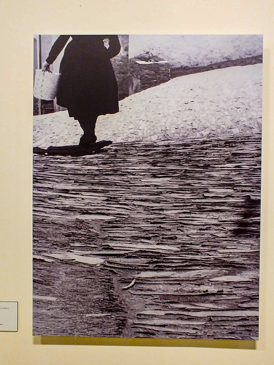 RYU Blog20191029_134844.jpg