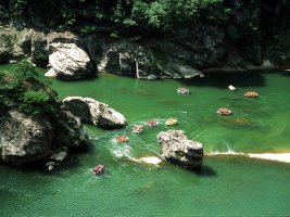 어라연 사진 5.jpg