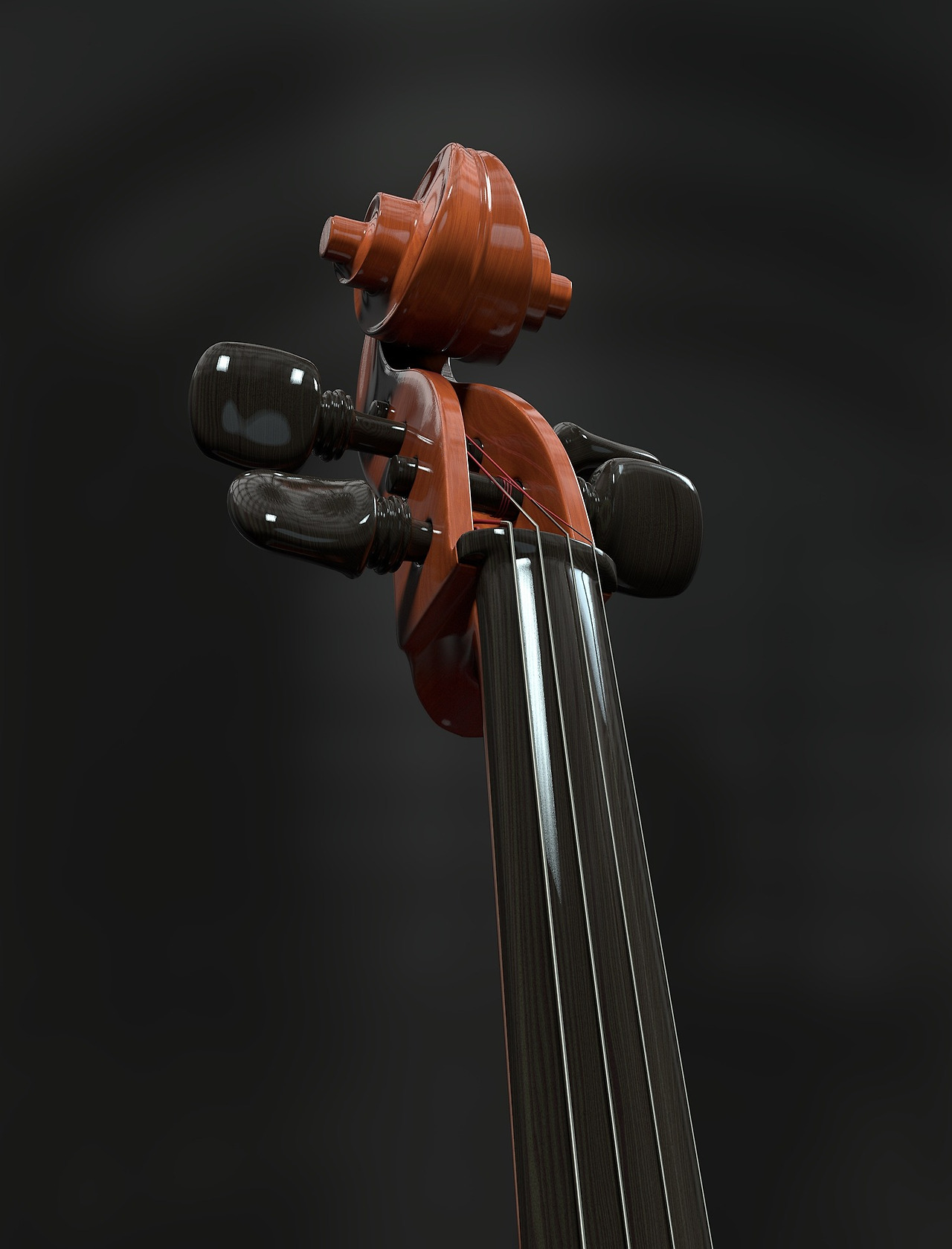 cello-2833420_1920.jpg