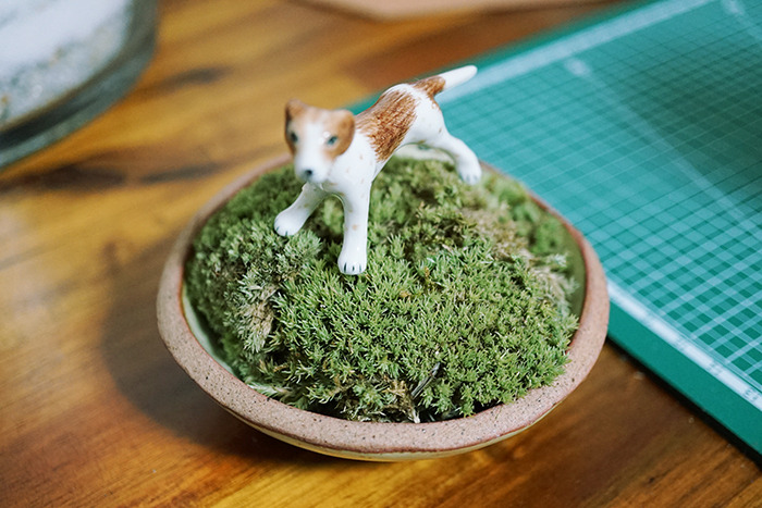 비단이끼 강아지_700.jpg