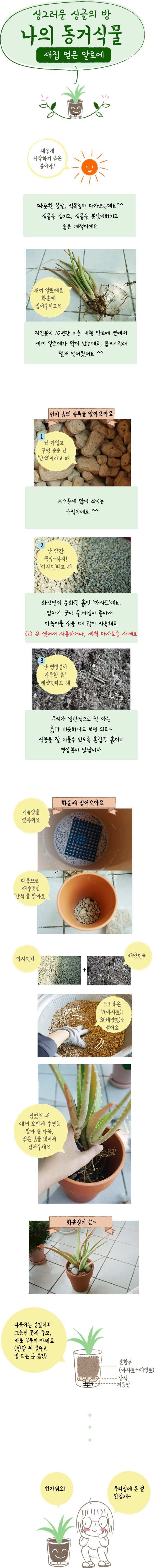 새집얻은 알로에.jpg