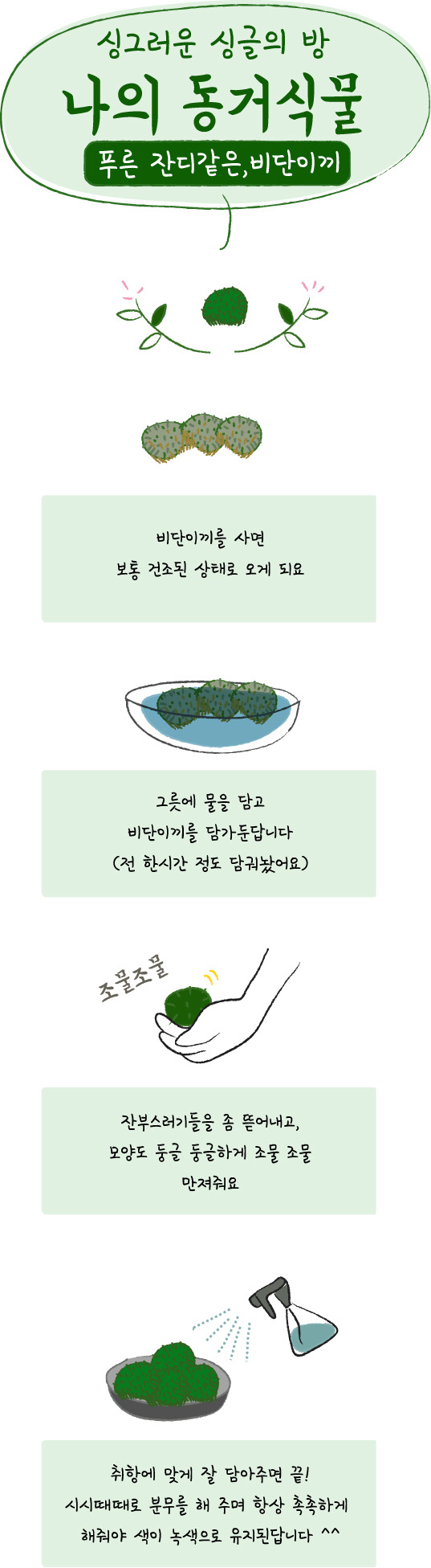 비단이끼.jpg
