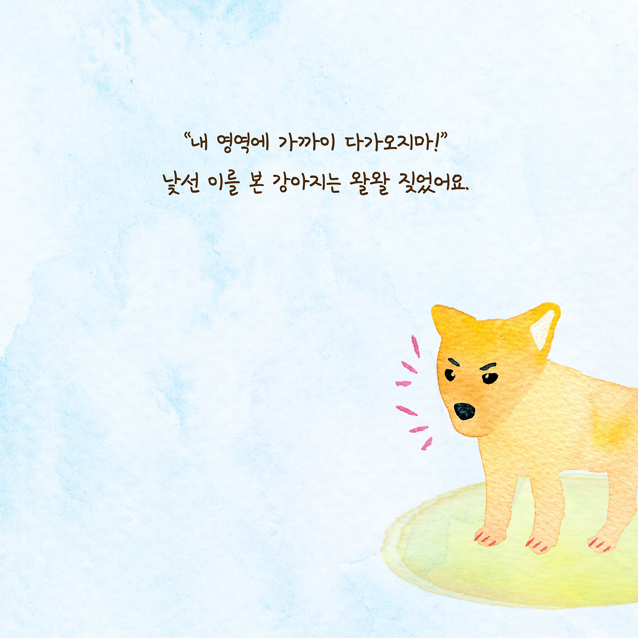 강아지 1.jpg