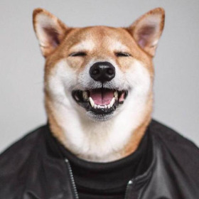 다운로드 (2).jpg