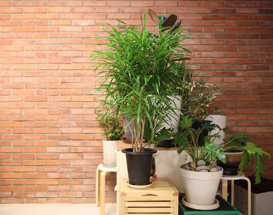 2017-01-31 18.11.02.jpg